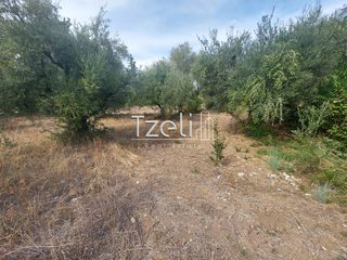 Αγροτεμάχια 2.000 τ.μ. για πώληση, Αχαΐα, Ρίο-thumb-7