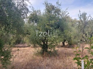 Αγροτεμάχια 2.000 τ.μ. για πώληση, Αχαΐα, Ρίο-thumb-4