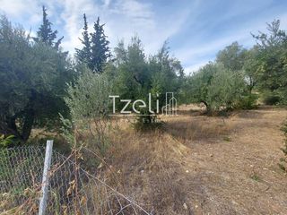 Αγροτεμάχια 2.000 τ.μ. για πώληση, Αχαΐα, Ρίο-thumb-9