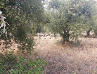 Αγροτεμάχια 2.000 τ.μ. για πώληση, Αχαΐα, Ρίο-thumb-15