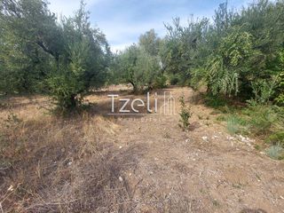 Αγροτεμάχια 2.000 τ.μ. για πώληση, Αχαΐα, Ρίο-thumb-20