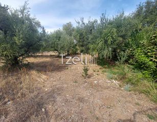 Αγροτεμάχια 2.000 τ.μ. για πώληση, Αχαΐα, Ρίο-thumb-27