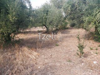 Αγροτεμάχια 2.000 τ.μ. για πώληση, Αχαΐα, Ρίο-thumb-28