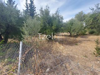 Αγροτεμάχια 2.000 τ.μ. για πώληση, Αχαΐα, Ρίο-thumb-21