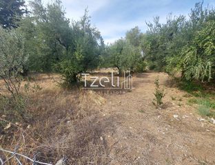 Αγροτεμάχια 2.000 τ.μ. για πώληση, Αχαΐα, Ρίο-thumb-23