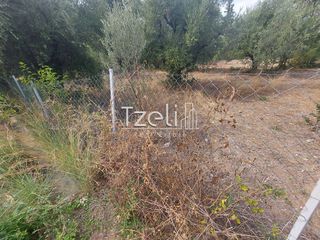 Αγροτεμάχια 2.000 τ.μ. για πώληση, Αχαΐα, Ρίο-thumb-1