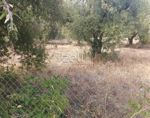 Αγροτεμάχια 2.000 τ.μ. για πώληση, Αχαΐα, Ρίο-thumb-11