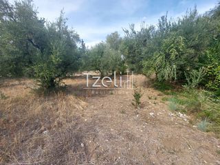Αγροτεμάχια 2.000 τ.μ. για πώληση, Αχαΐα, Ρίο-thumb-25