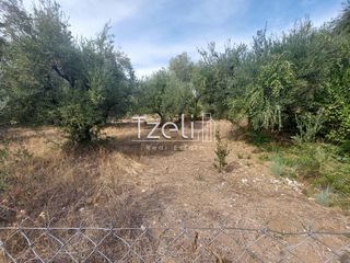 Αγροτεμάχια 2.000 τ.μ. για πώληση, Αχαΐα, Ρίο-thumb-22