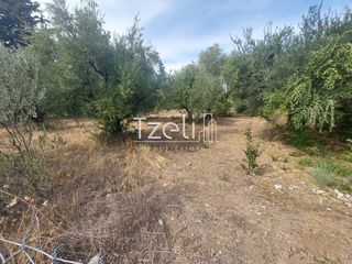 Αγροτεμάχια 2.000 τ.μ. για πώληση, Αχαΐα, Ρίο-thumb-2