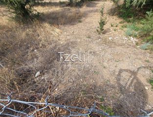 Αγροτεμάχια 2.000 τ.μ. για πώληση, Αχαΐα, Ρίο-thumb-29