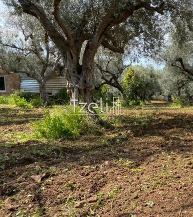 Οικόπεδο 1.071 τ.μ. για πώληση, Αχαΐα, Μεσσατίδα