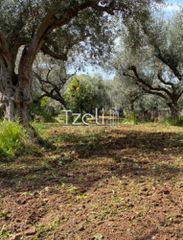 Οικόπεδο 1.071 τ.μ. για πώληση, Αχαΐα, Μεσσατίδα-thumb-10