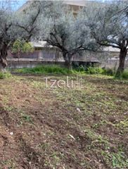 Οικόπεδο 1.071 τ.μ. για πώληση, Αχαΐα, Μεσσατίδα-thumb-11