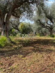 Οικόπεδο 1.071 τ.μ. για πώληση, Αχαΐα, Μεσσατίδα-thumb-7