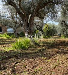 Οικόπεδο 1.071 τ.μ. για πώληση, Αχαΐα, Μεσσατίδα-thumb-4