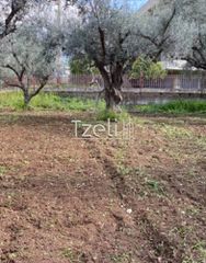 Οικόπεδο 1.071 τ.μ. για πώληση, Αχαΐα, Μεσσατίδα-thumb-6