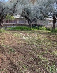 Οικόπεδο 1.071 τ.μ. για πώληση, Αχαΐα, Μεσσατίδα-thumb-5