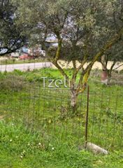 Αγροτεμάχια 650 τ.μ. για πώληση, Αχαΐα, Μεσσατίδα-thumb-11