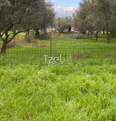 Αγροτεμάχια 650 τ.μ. για πώληση, Αχαΐα, Μεσσατίδα-thumb-16