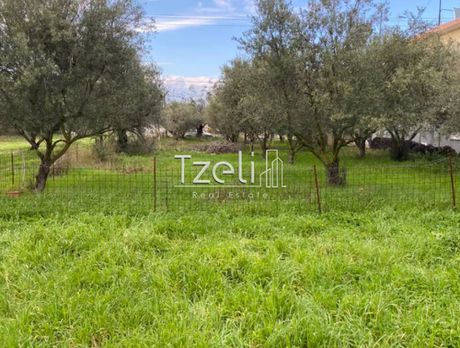 Parcel 650sqm for sale-Messatida » Ovria