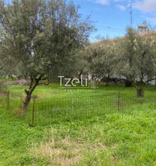 Αγροτεμάχια 650 τ.μ. για πώληση, Αχαΐα, Μεσσατίδα-thumb-14