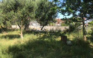 Αγροτεμάχια 650 τ.μ. για πώληση, Αχαΐα, Μεσσατίδα-thumb-29