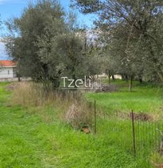 Αγροτεμάχια 650 τ.μ. για πώληση, Αχαΐα, Μεσσατίδα-thumb-7