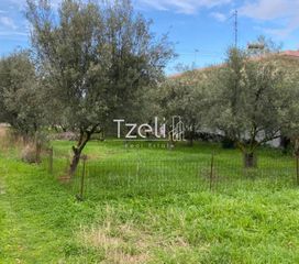 Αγροτεμάχια 650 τ.μ. για πώληση, Αχαΐα, Μεσσατίδα-thumb-2