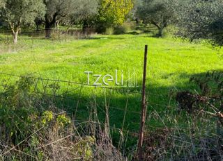 Αγροτεμάχια 650 τ.μ. για πώληση, Αχαΐα, Μεσσατίδα-thumb-26