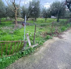 Αγροτεμάχια 650 τ.μ. για πώληση, Αχαΐα, Μεσσατίδα-thumb-24
