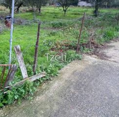 Αγροτεμάχια 650 τ.μ. για πώληση, Αχαΐα, Μεσσατίδα-thumb-22