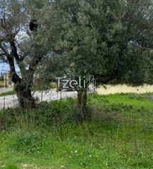 Αγροτεμάχια 650 τ.μ. για πώληση, Αχαΐα, Μεσσατίδα-thumb-17