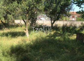 Αγροτεμάχια 650 τ.μ. για πώληση, Αχαΐα, Μεσσατίδα-thumb-27