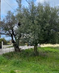 Αγροτεμάχια 650 τ.μ. για πώληση, Αχαΐα, Μεσσατίδα-thumb-15