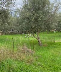 Αγροτεμάχια 650 τ.μ. για πώληση, Αχαΐα, Μεσσατίδα-thumb-18