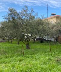 Αγροτεμάχια 650 τ.μ. για πώληση, Αχαΐα, Μεσσατίδα-thumb-10