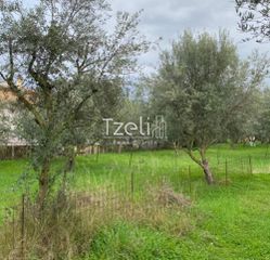 Αγροτεμάχια 650 τ.μ. για πώληση, Αχαΐα, Μεσσατίδα-thumb-6