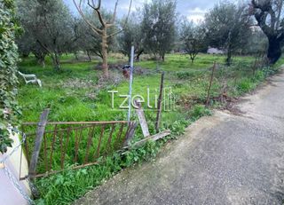 Αγροτεμάχια 650 τ.μ. για πώληση, Αχαΐα, Μεσσατίδα-thumb-25