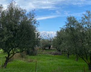 Αγροτεμάχια 650 τ.μ. για πώληση, Αχαΐα, Μεσσατίδα-thumb-5