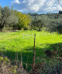 Αγροτεμάχια 650 τ.μ. για πώληση, Αχαΐα, Μεσσατίδα-thumb-19