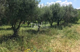 Αγροτεμάχια 650 τ.μ. για πώληση, Αχαΐα, Μεσσατίδα-thumb-4