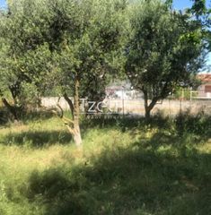 Αγροτεμάχια 650 τ.μ. για πώληση, Αχαΐα, Μεσσατίδα-thumb-13