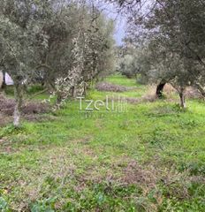 Αγροτεμάχια 650 τ.μ. για πώληση, Αχαΐα, Μεσσατίδα-thumb-8