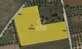 Parcel 9.000sqm for sale-Epanomi » Center