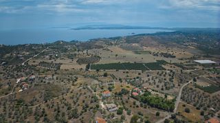 Αγροτεμάχια 4.008 τ.μ. για πώληση, Αργολίδα, Ερμιόνη-thumb-10