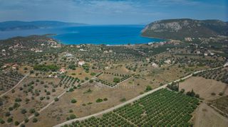 Αγροτεμάχια 4.008 τ.μ. για πώληση, Αργολίδα, Ερμιόνη-thumb-6