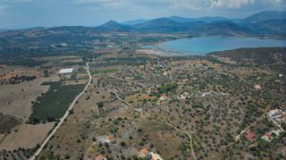 Αγροτεμάχια 4.008 τ.μ. για πώληση, Αργολίδα, Ερμιόνη-thumb-11