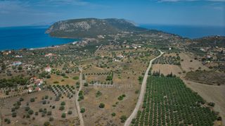 Αγροτεμάχια 4.008 τ.μ. για πώληση, Αργολίδα, Ερμιόνη-thumb-24