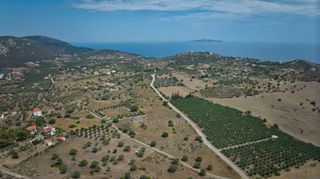 Αγροτεμάχια 4.008 τ.μ. για πώληση, Αργολίδα, Ερμιόνη-thumb-16